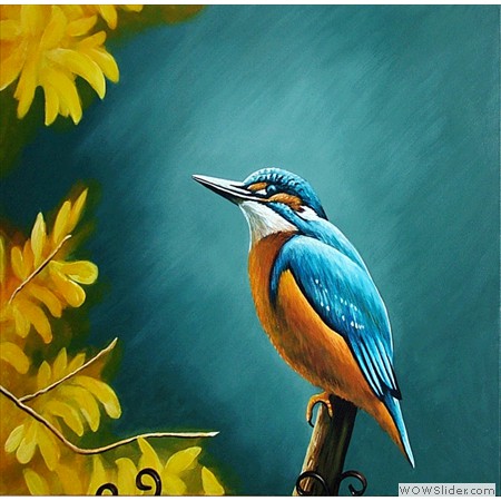 Kingfisher-Jacki-Yorke-2012-