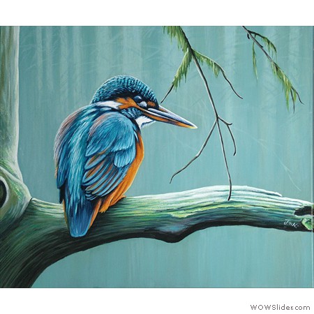 Kingfisher-Misty-Woods-Jacki-Yorke-8569
