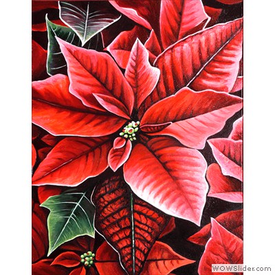 poinsettia-2009-jacki_yorke