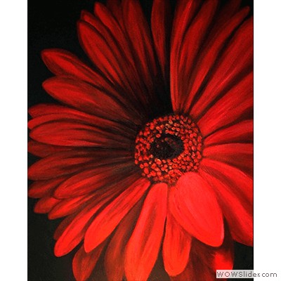 red-flower-Jacki-Yorke-