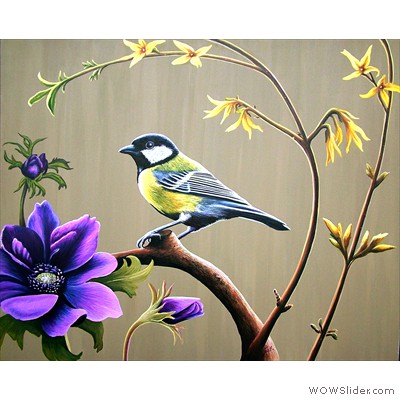 jacki yorke clematis blue tit