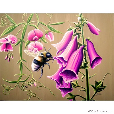 jacki yorke foxglove bee