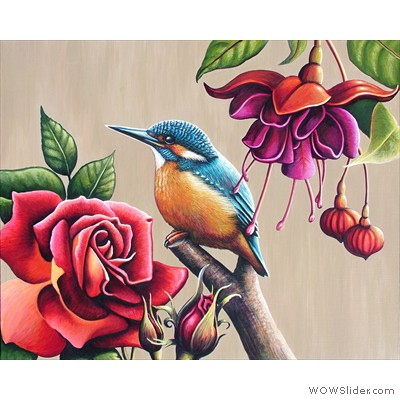 Jacki YorkeKingfisher Rose 05