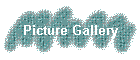 Picture Gallery