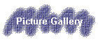 Picture Gallery