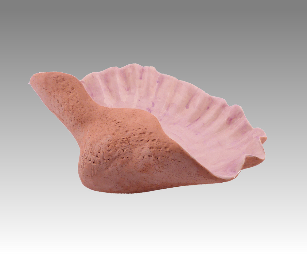 Llandeilo Pottery Jacki Yorke Ceramics Shell